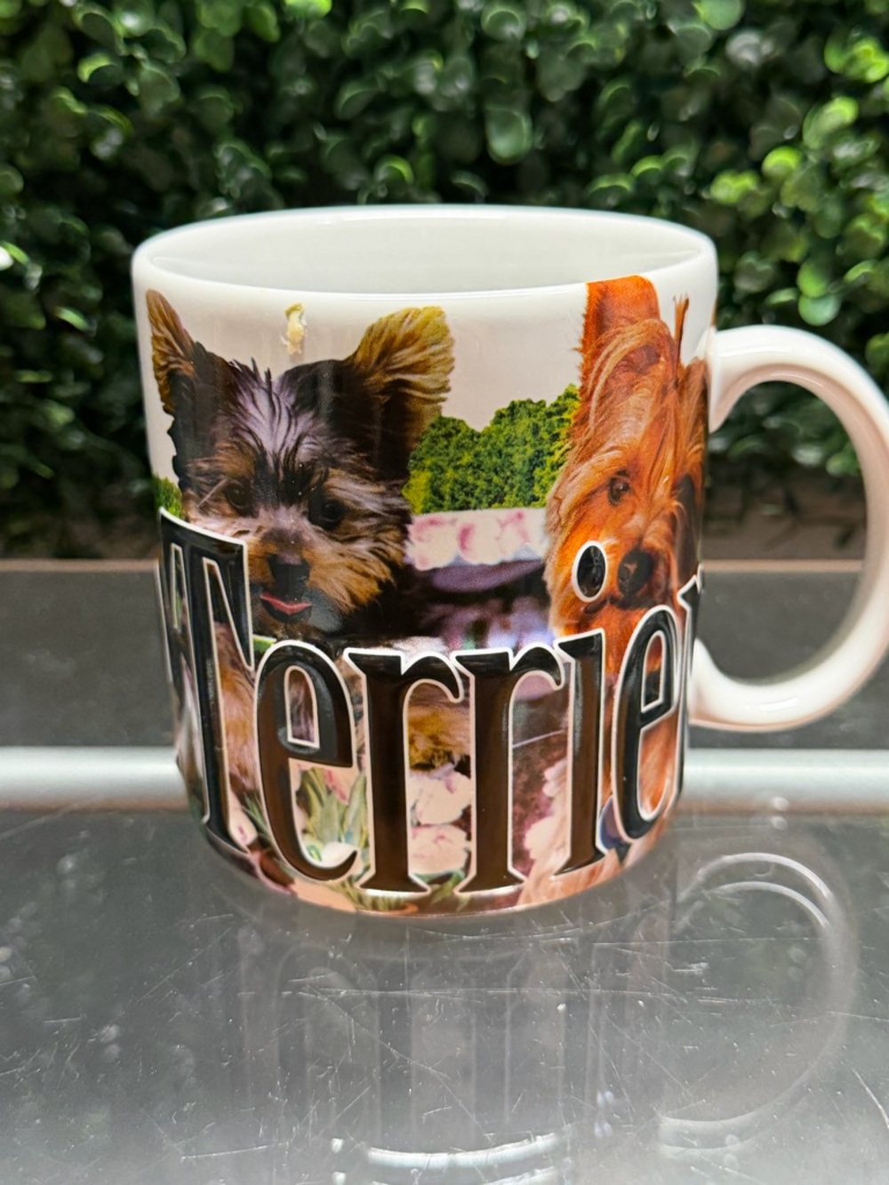 Terrier Accent Ceramic Mug - White